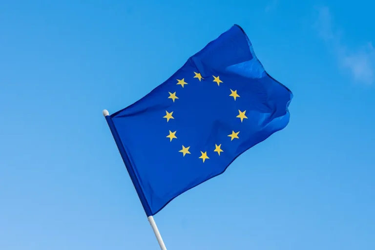 EU Settlement Scheme Pre-Settled Status